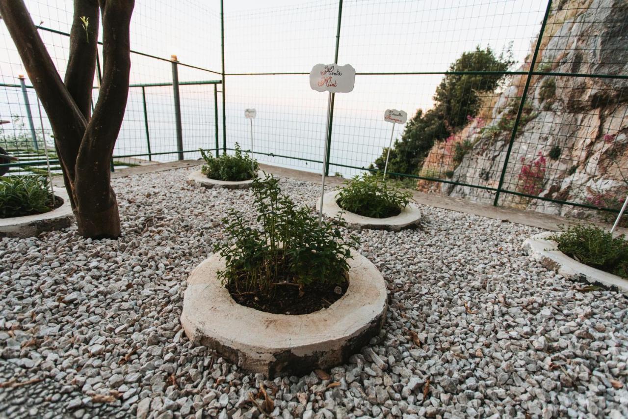 Apartments Paradise Garden Holiday House Agerola Ngoại thất bức ảnh